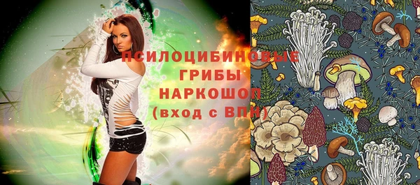 крисы Армянск