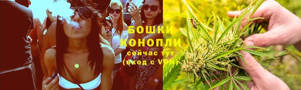 крисы Армянск