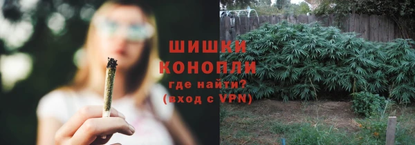 дмт Аркадак