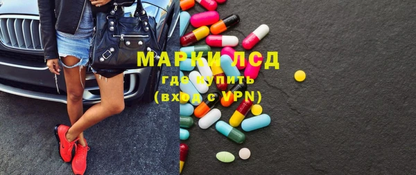 стаф Горняк