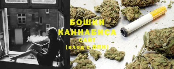 мет Арсеньев