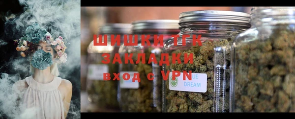 дмт Аркадак